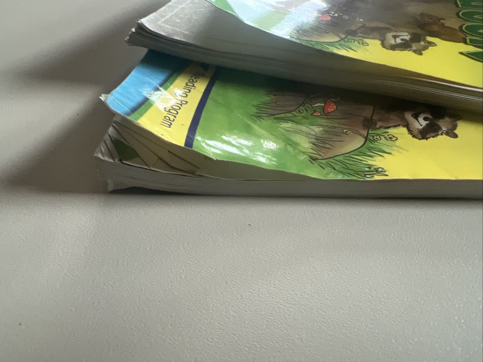 A Beka 1st Grade Animals in the Great Outdoors Set – Teacher and Student Books