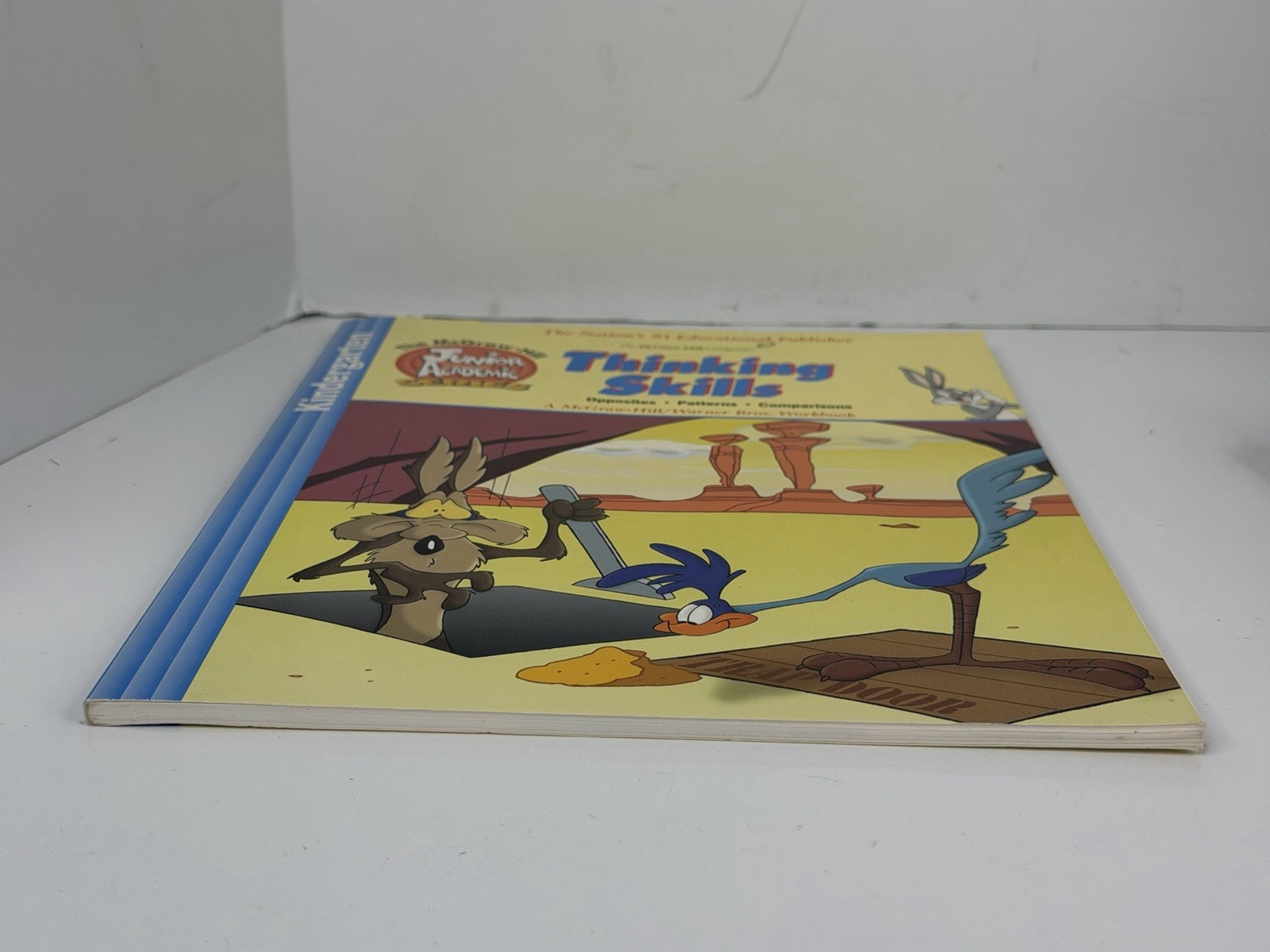 Warner Brothers Thinking Skills Kindergarten Workbook 1999 McGraw Hill New