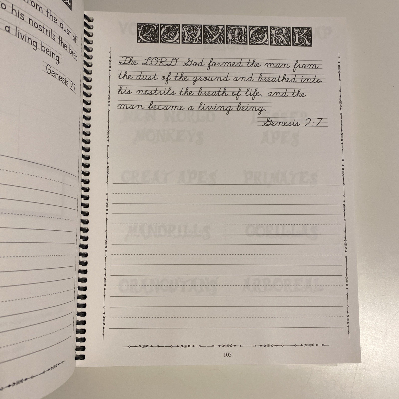 Apologia Zoology 3: Junior Notebooking Journal, Clean Pages