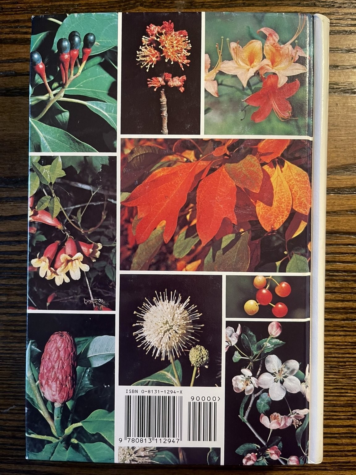 Trees & Shrubs of Kentucky by Wharton and Barbour 1973 Botany Field Guide: VG