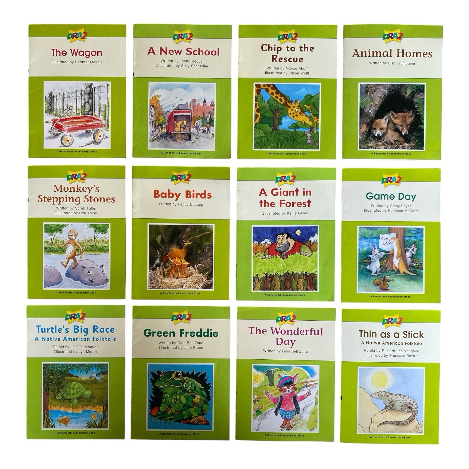 DRA2 Developing Readers Levels 14-24 Guided Reading H-M 12 Book Set