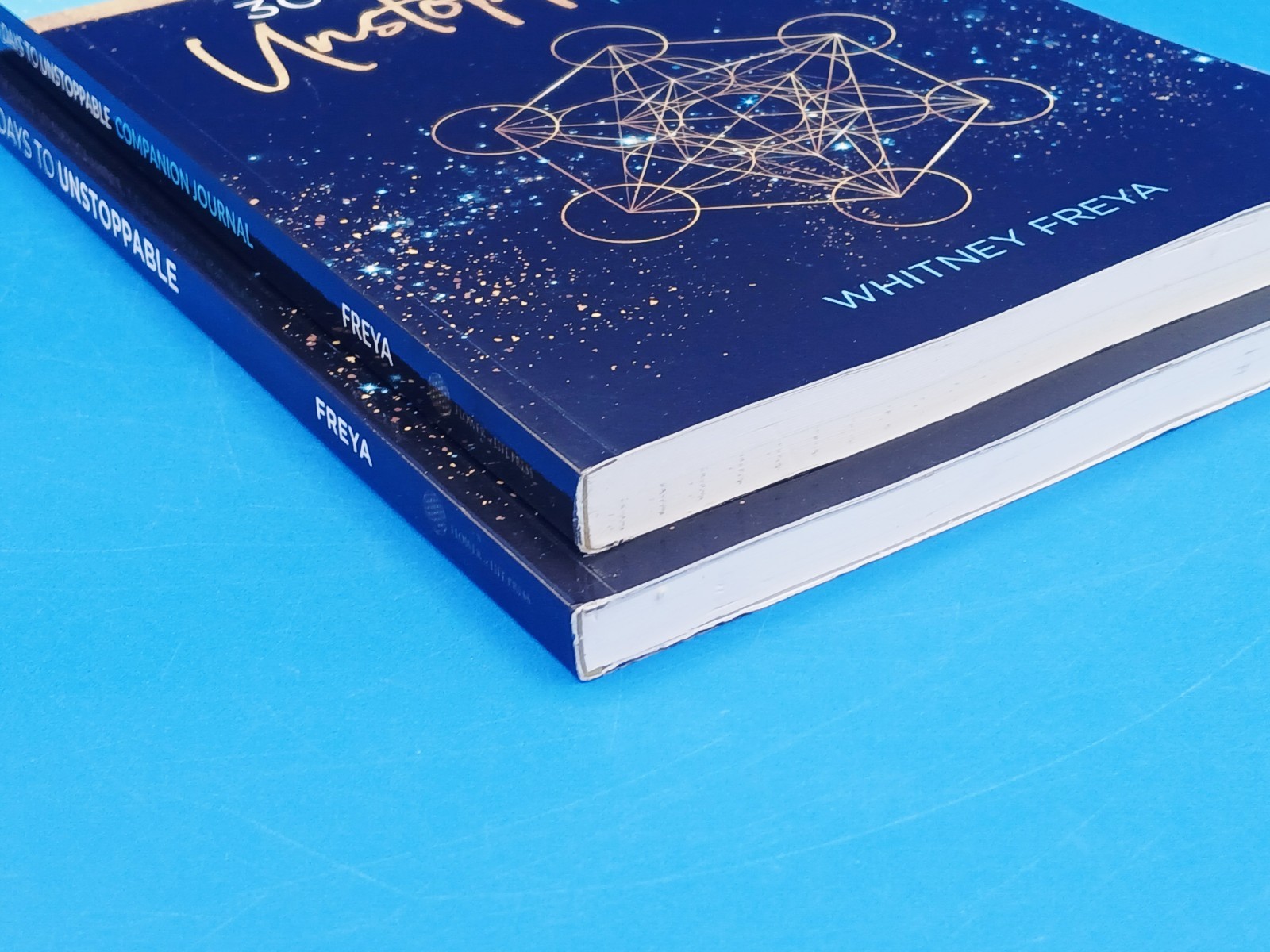 30 Days to Unstoppable: Be the Dream Made Visible + Companion Journal Book…