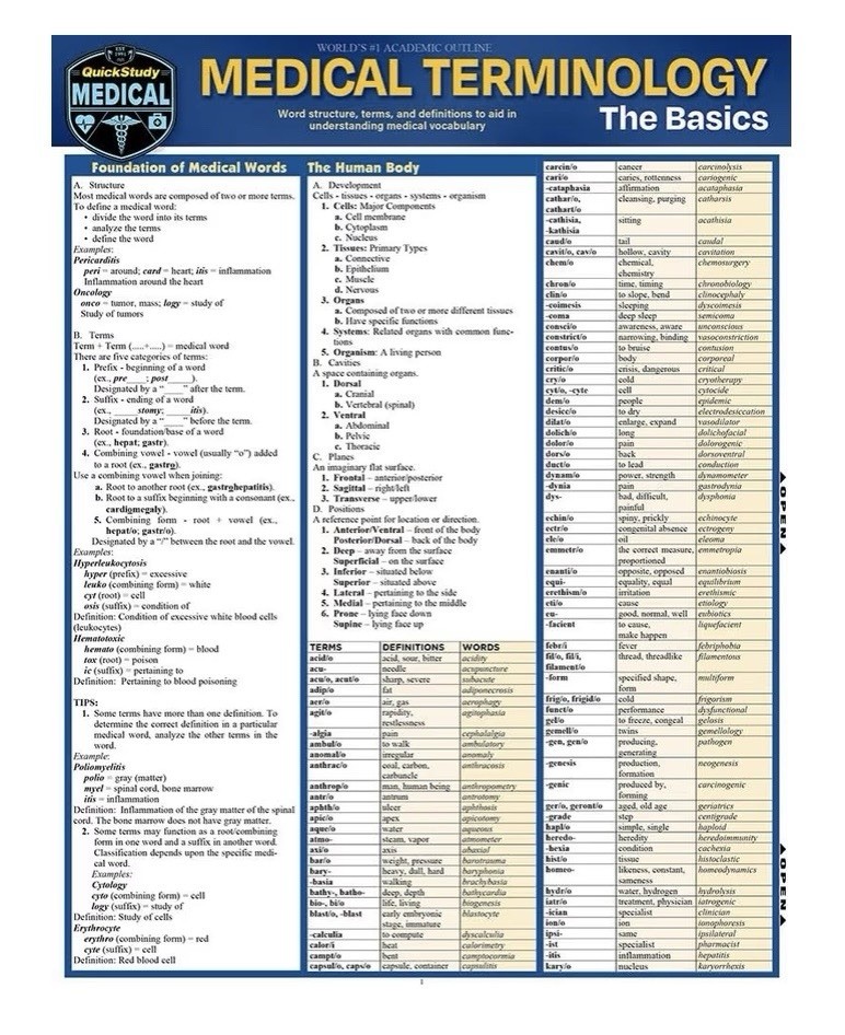 Medical Terminology The Basics Tri-Fold Laminated Reference Study Guide NEW