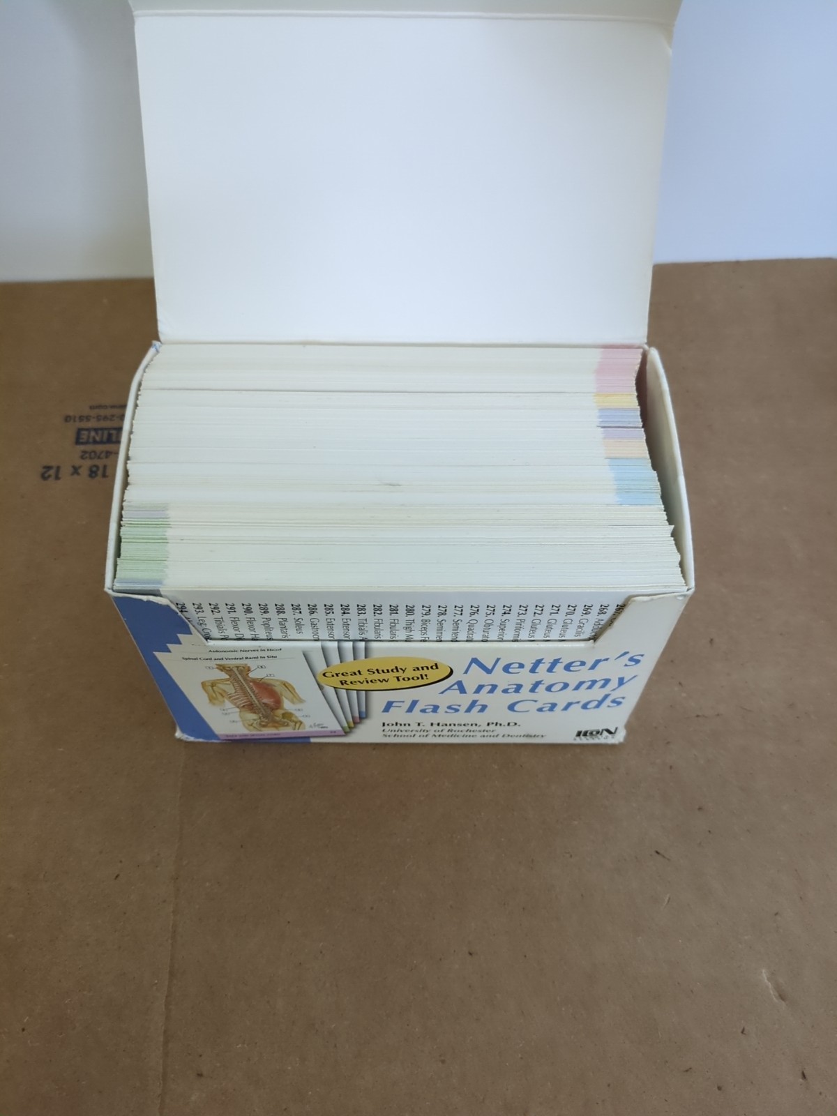 Netter Basic Science Ser.: Netter’s Anatomy Flash Cards by John T. Hansen (2002,