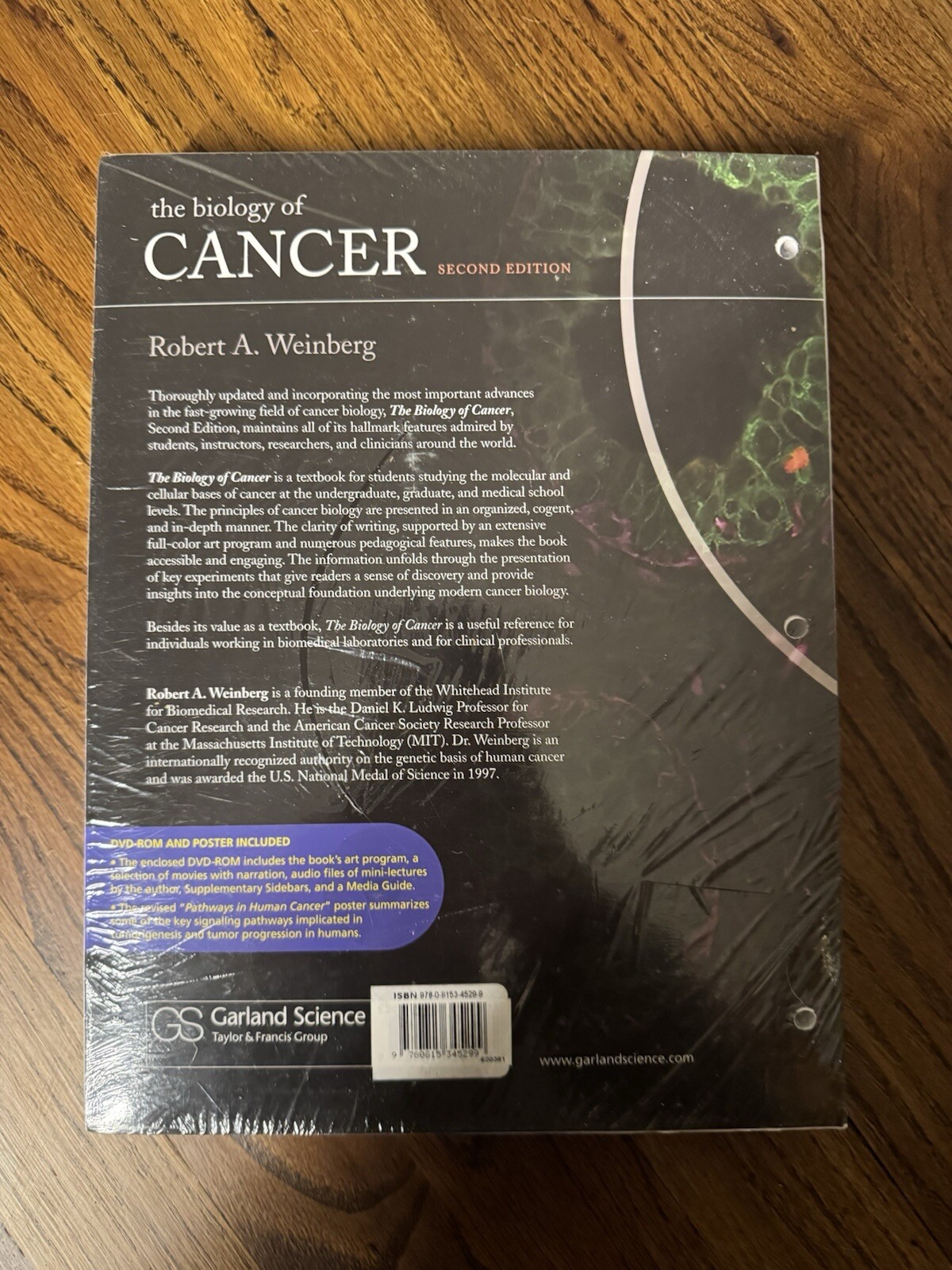 Biology of Cancer by Robert A. Weinberg (2013, Ringbound)