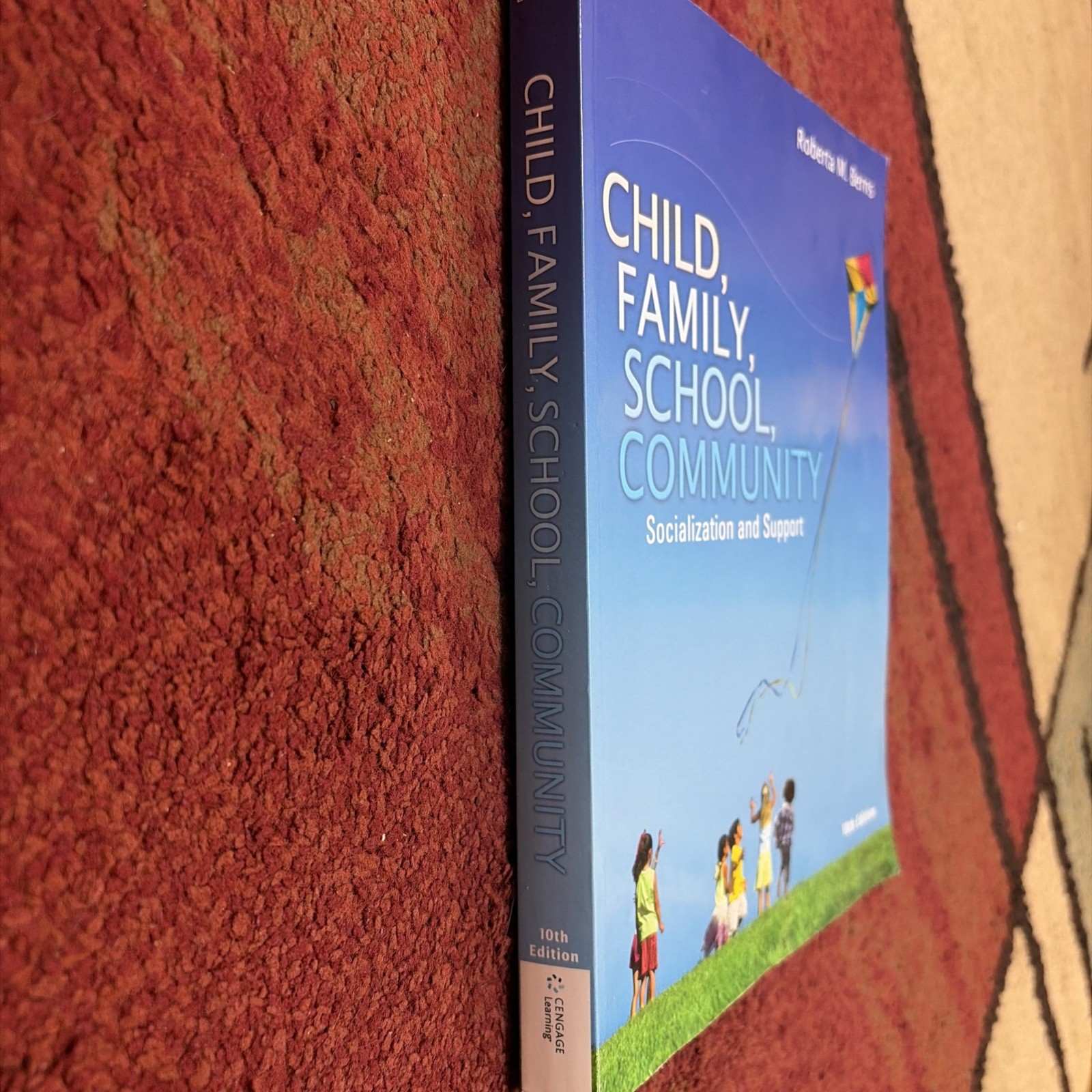 Child, Family, School, Community: Socialization & Support 10th ed, Roberta Berns
