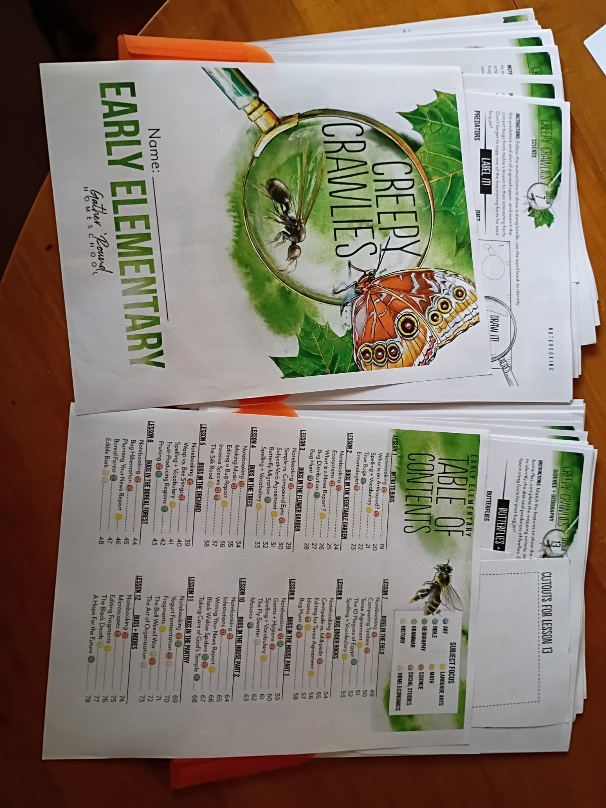 Creepy Crawlies- Gather Round Homeschool