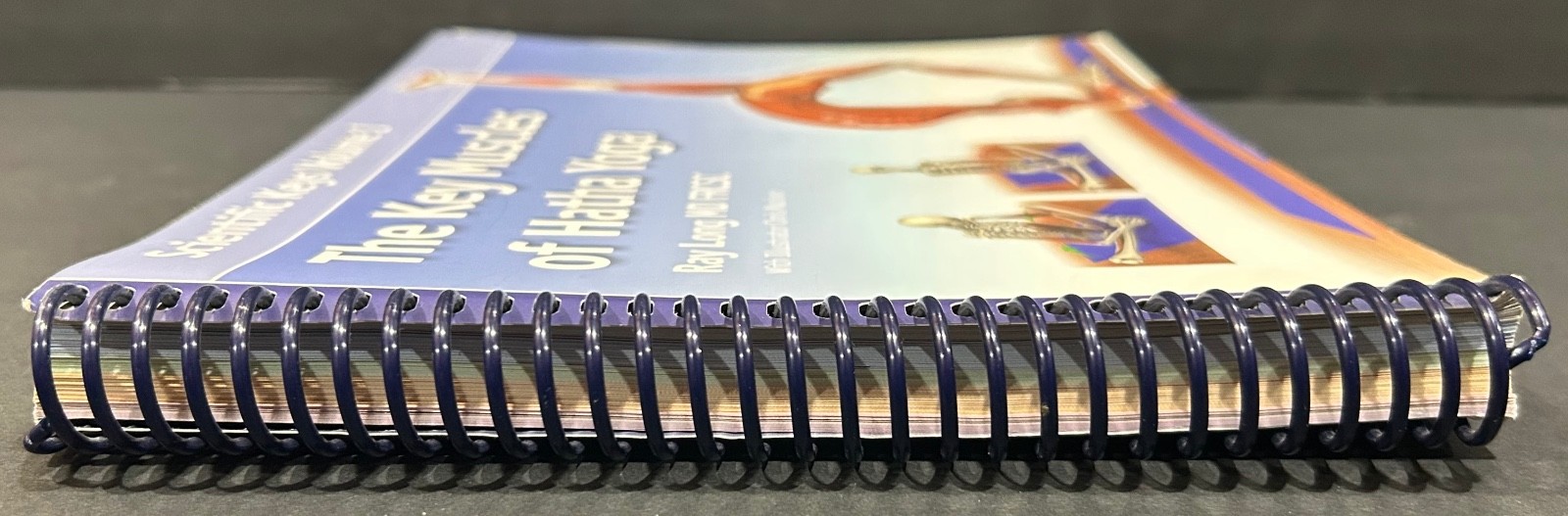 The Key Muscles of Hatha Yoga (Scientific Keys) By Ray Long Spiral Bound GOOD