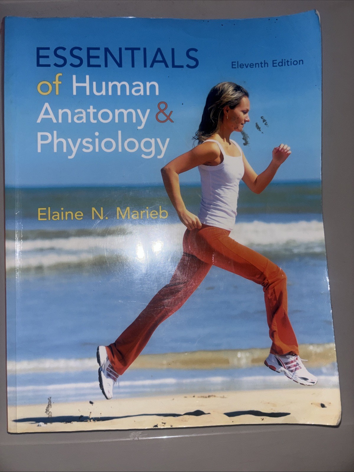 Essentials Of Human Anatomy & Physiology Eleventh Edition