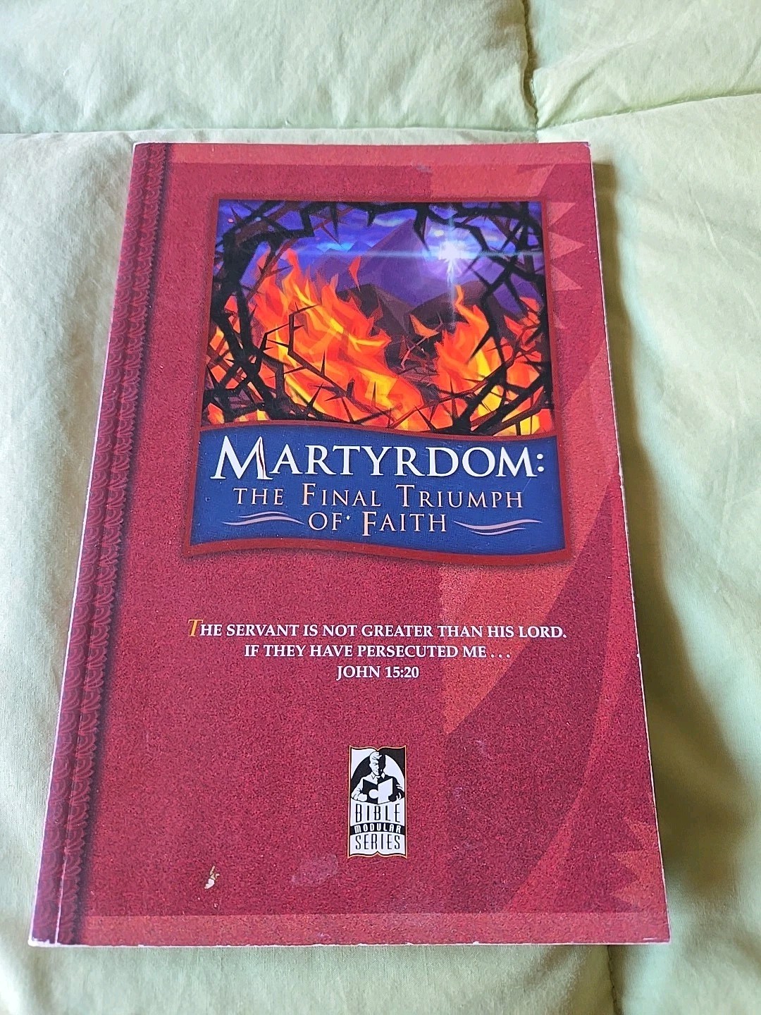 Bob Jones University Press Martyrdom: Final Triumph Of Faith Bible Homeschool