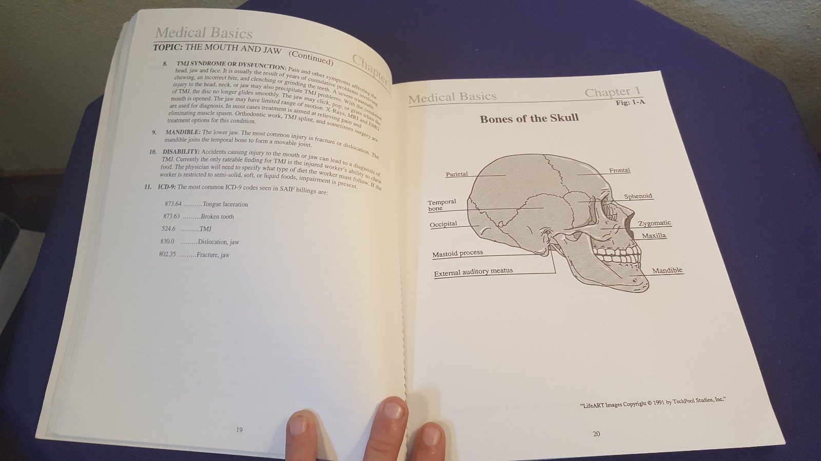 1996 MEDICAL BASICS Paperback Book by LINDA GIFFORD-MEULEVELD