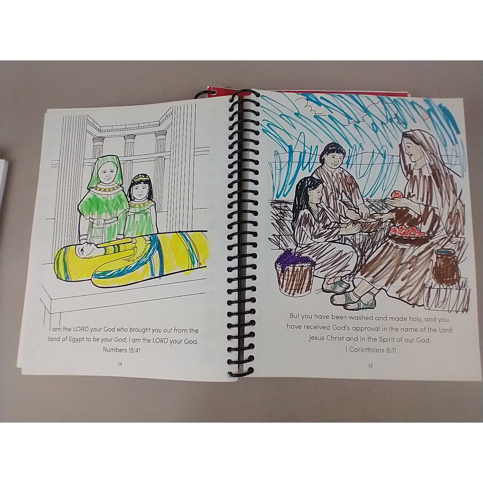 Apologia Junior Anatomy and Physiology Notebooking Journal Young Explorer Series