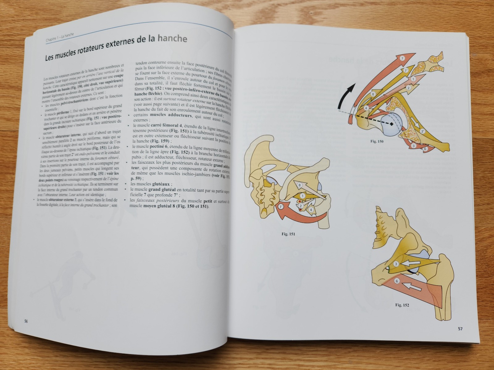 Anatomie Fonctionnelle – A.I. Kapandji – 7th Edition – 3-Volume Set – French