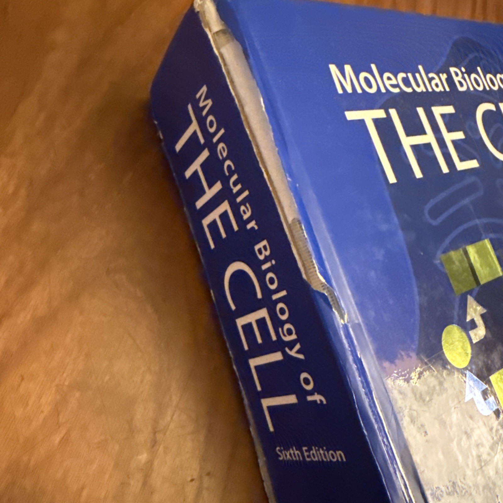 Molecular Biology of the Cell 6th Edition GOOD Clean Pages 9780815344322