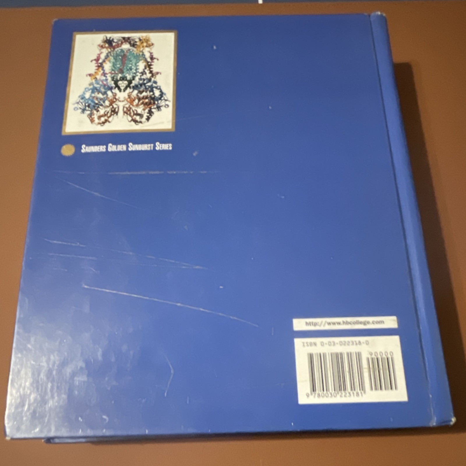 Biochemistry Second Edition Garrett & Grisham Saunders Hardcover Sunburst Series