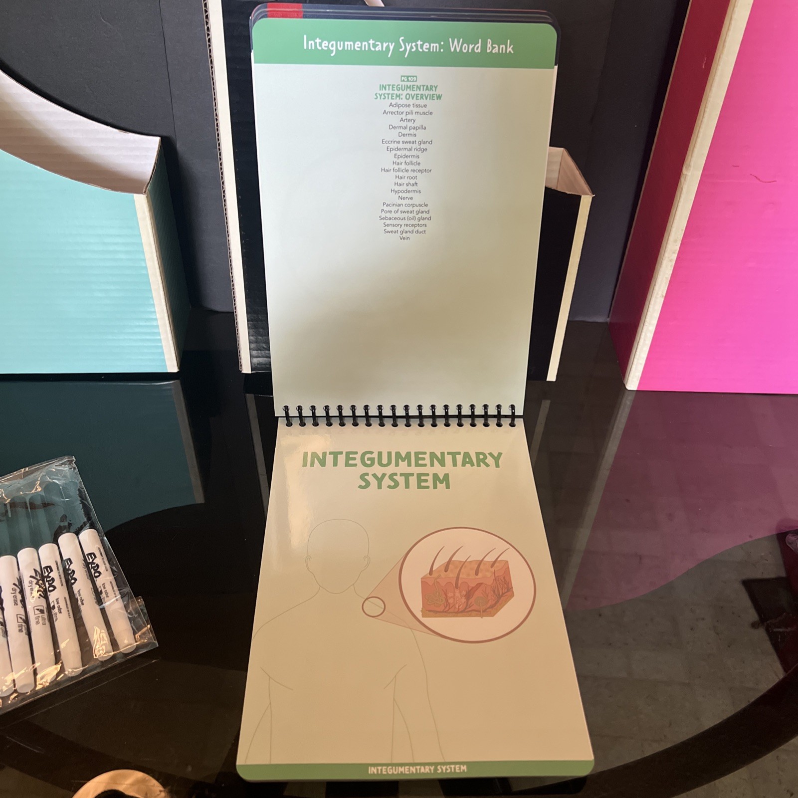 Nurse In The Making Anatomy Label Lab Workbook Laminated Spiral Bound