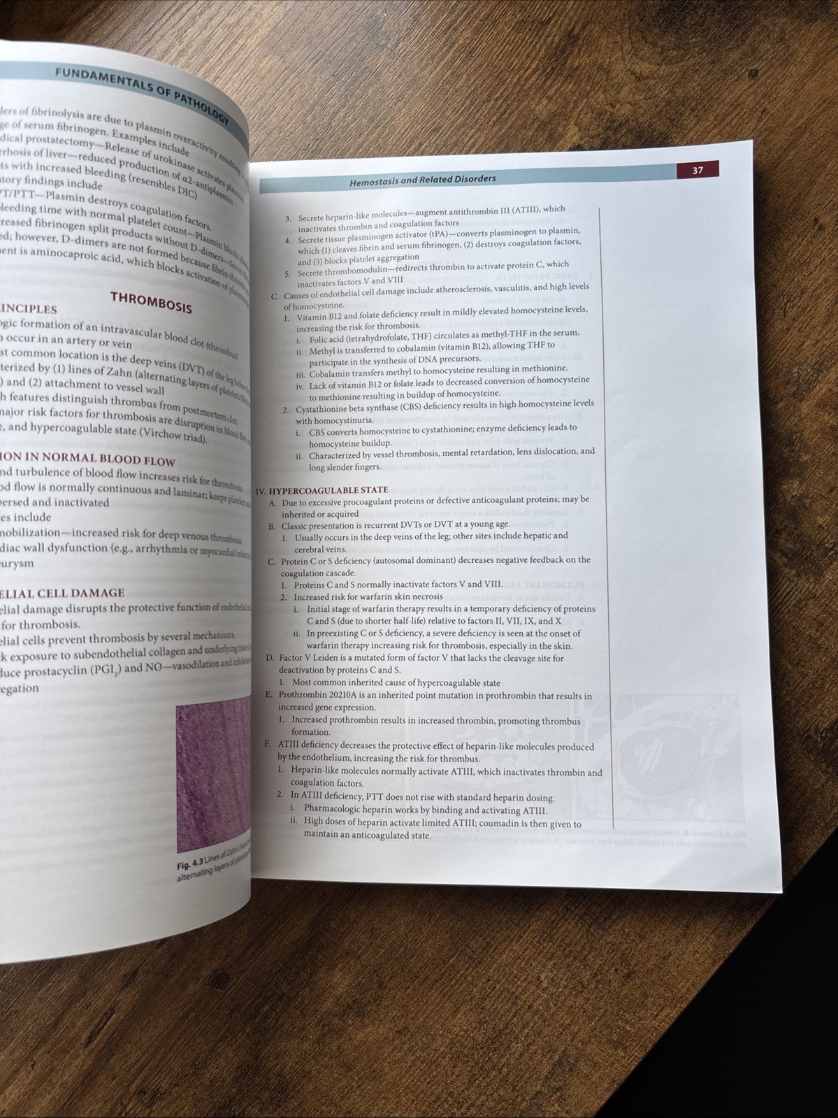 Fundamentals of Pathology 2022 by Hussain A. Sattar Illustrated Medical Textbook