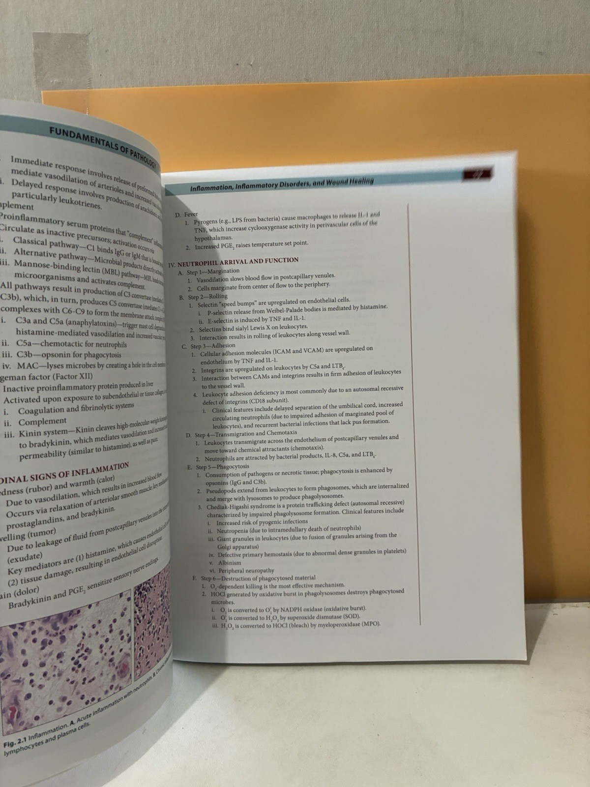 Fundamentals of Pathology – 2022 Edition Paperback – Very Good