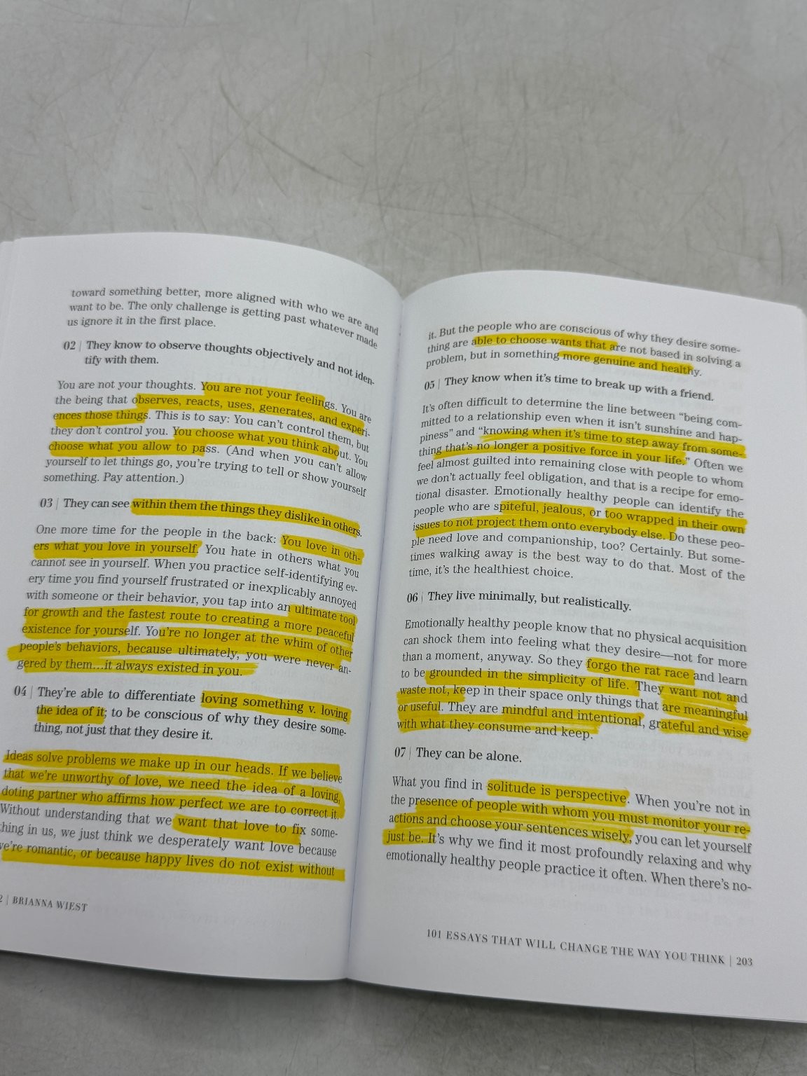 101 ESSAYS that will CHANGE the way YOU THINK Brianna Wiest 2017 Self-Help