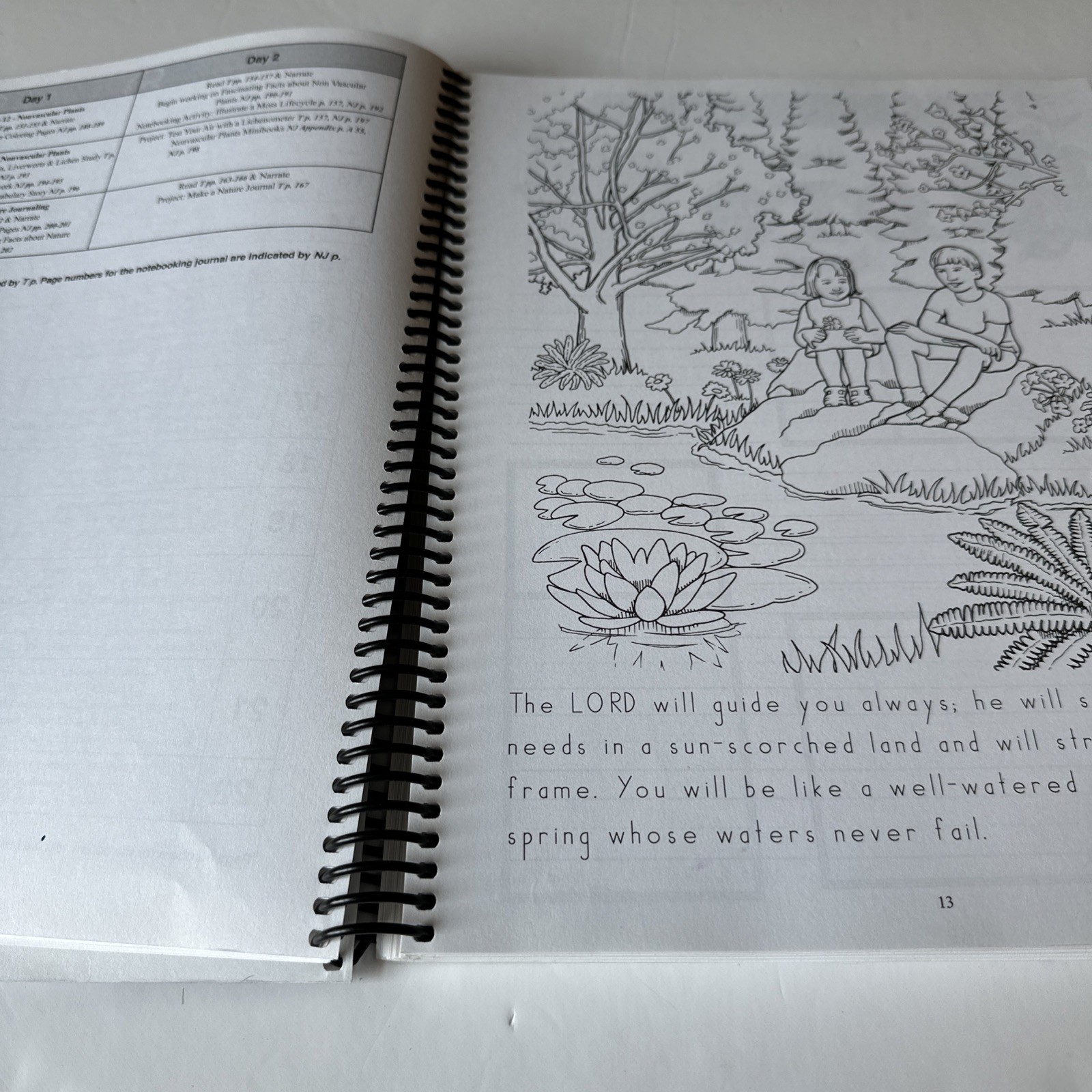 Exploring Creation With Botany Young Explorer Series – Apologia – PLUS Journal