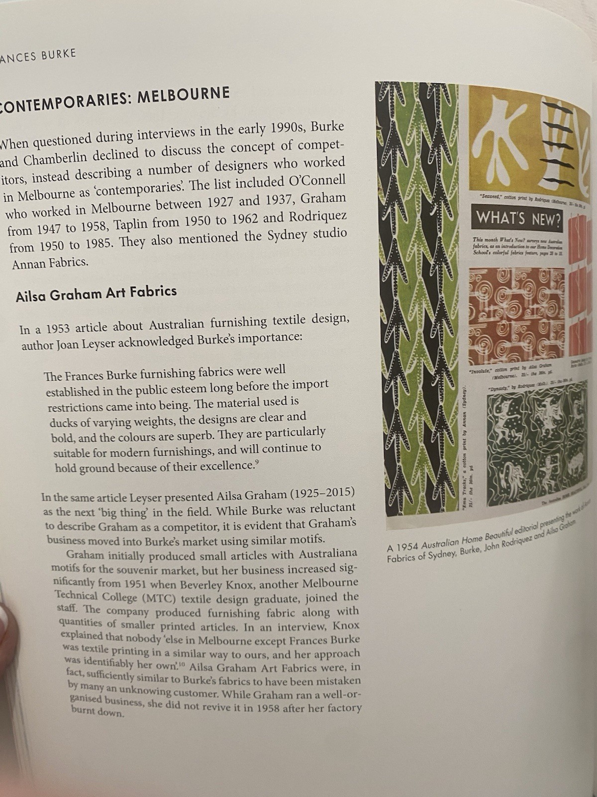 Frances Burke Designer of Modern Textiles by Nanette Carter English Hardcover