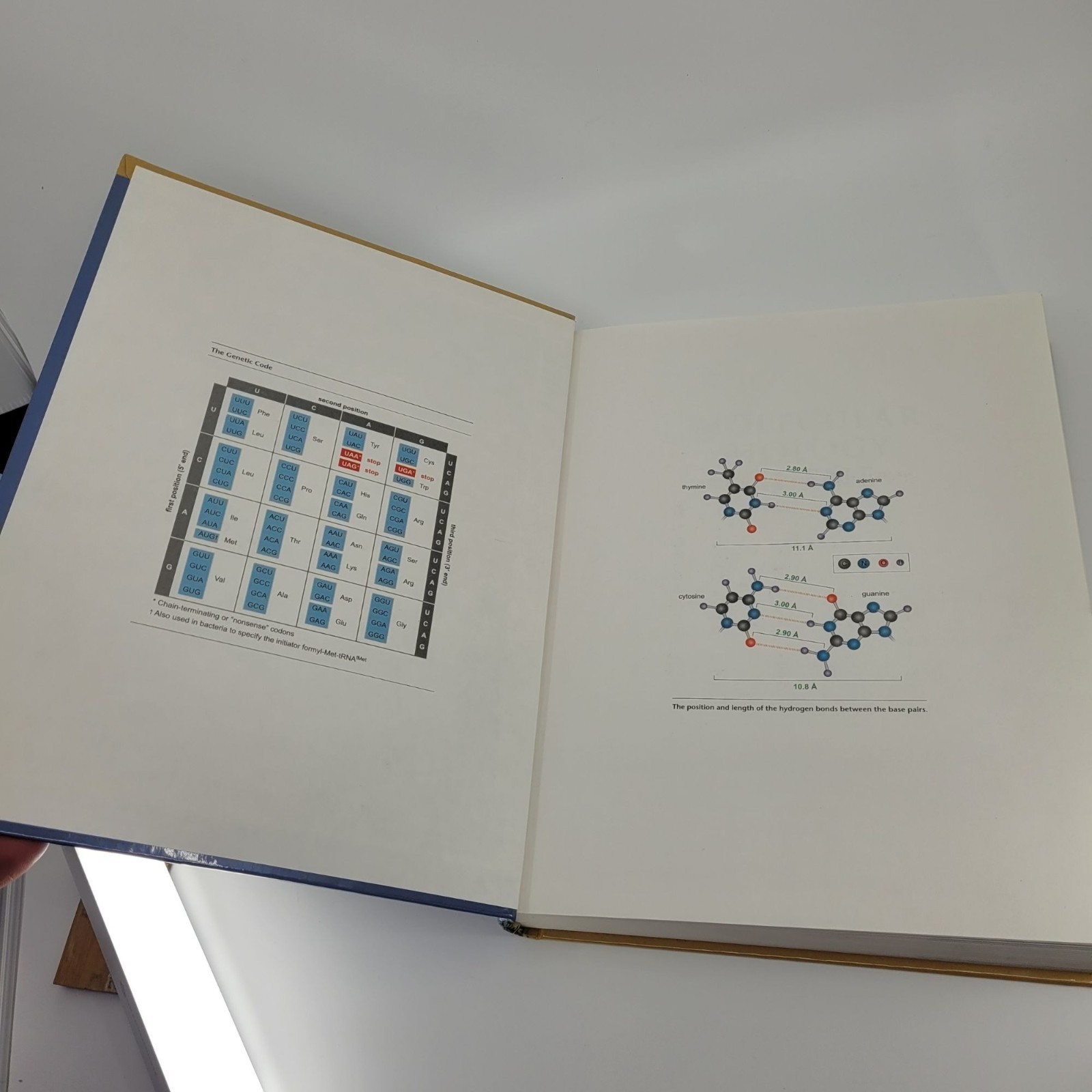 Molecular Biology of the Gene Seventh Edition Textbook 2014 James Watson Pearson