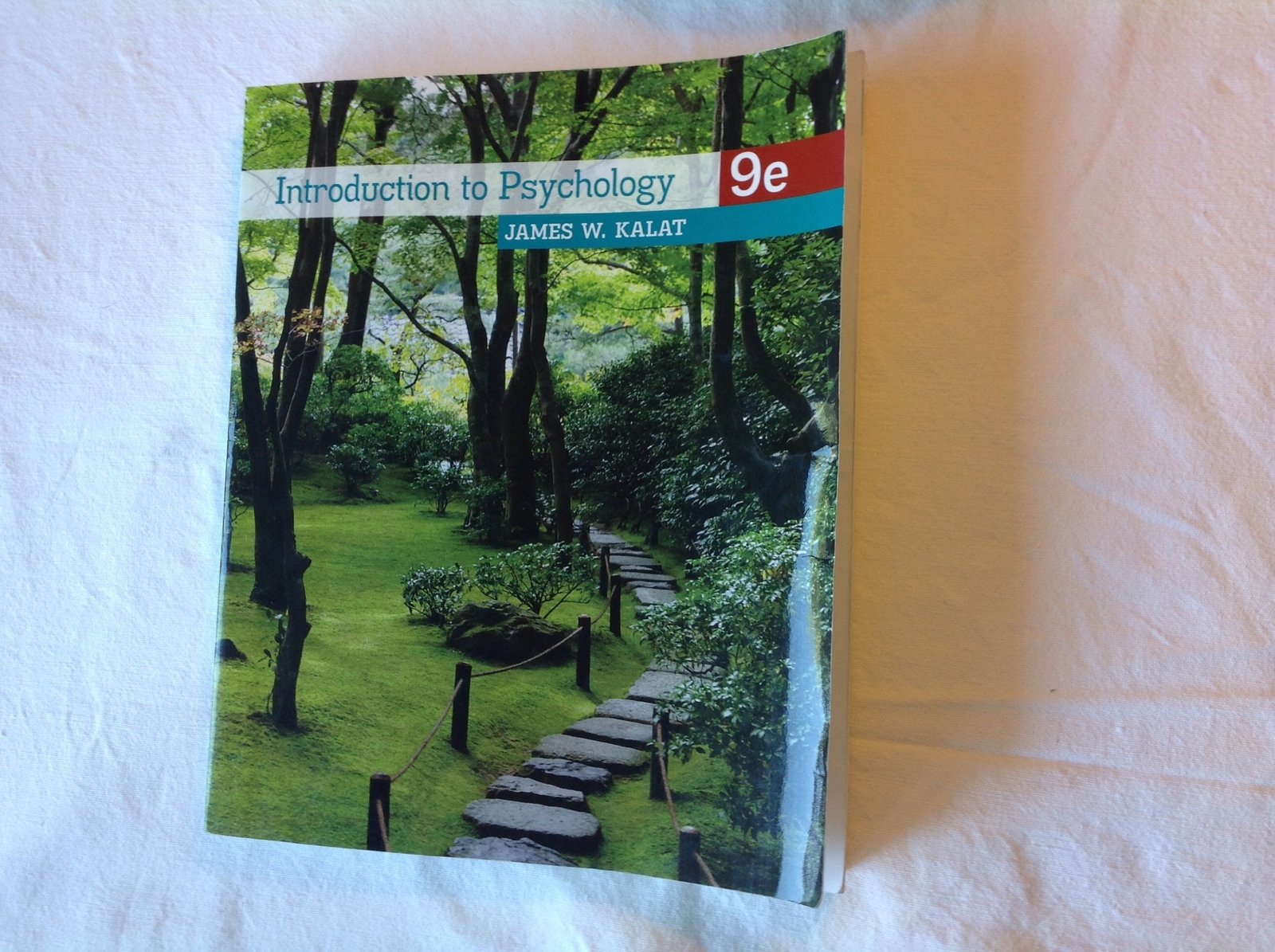 Introduction to Psychology, 9th Edition – Kalat, James W. – paperback – Acce…