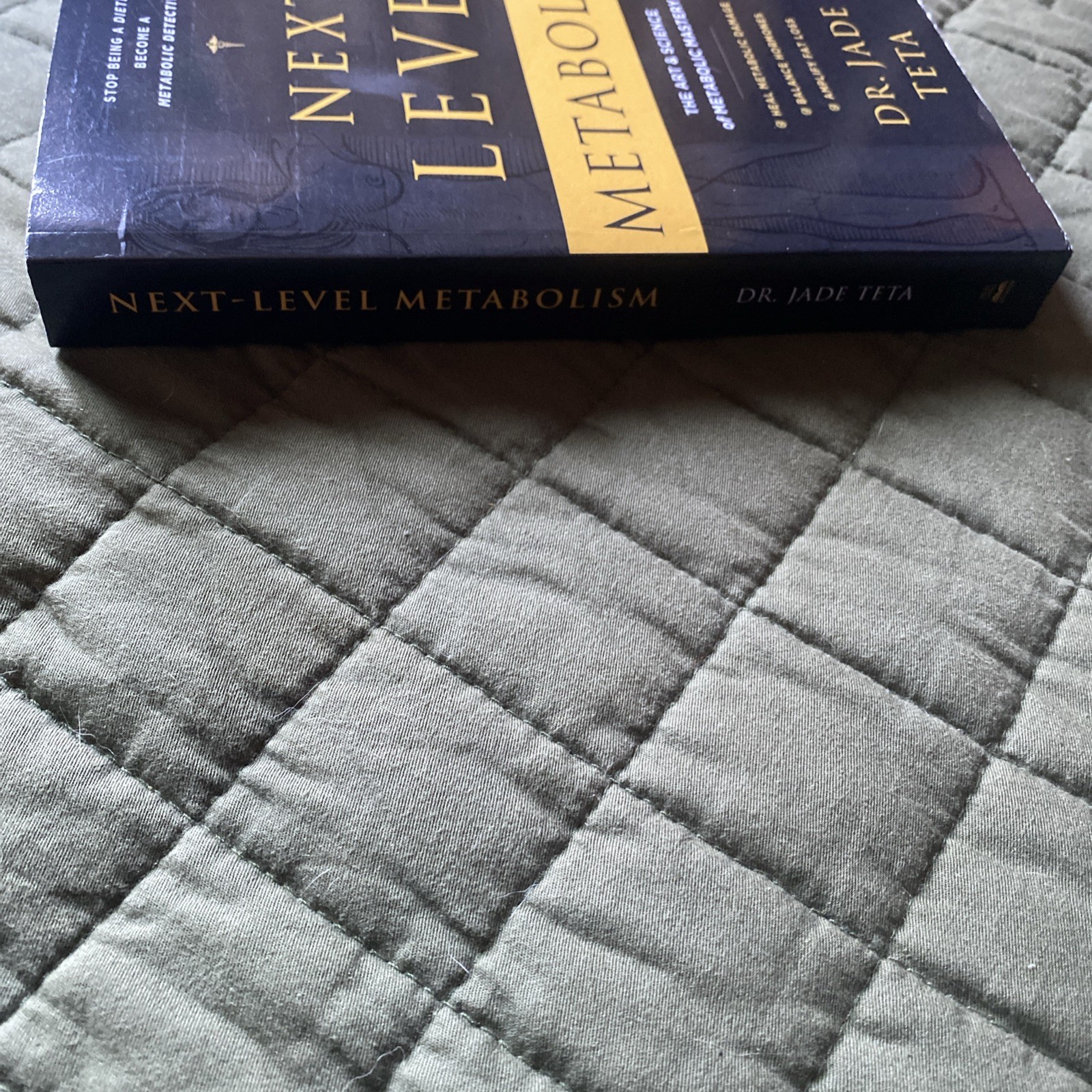 Next-Level Metabolism : The Art and Science of Metabolic Mastery by Jade Teta…