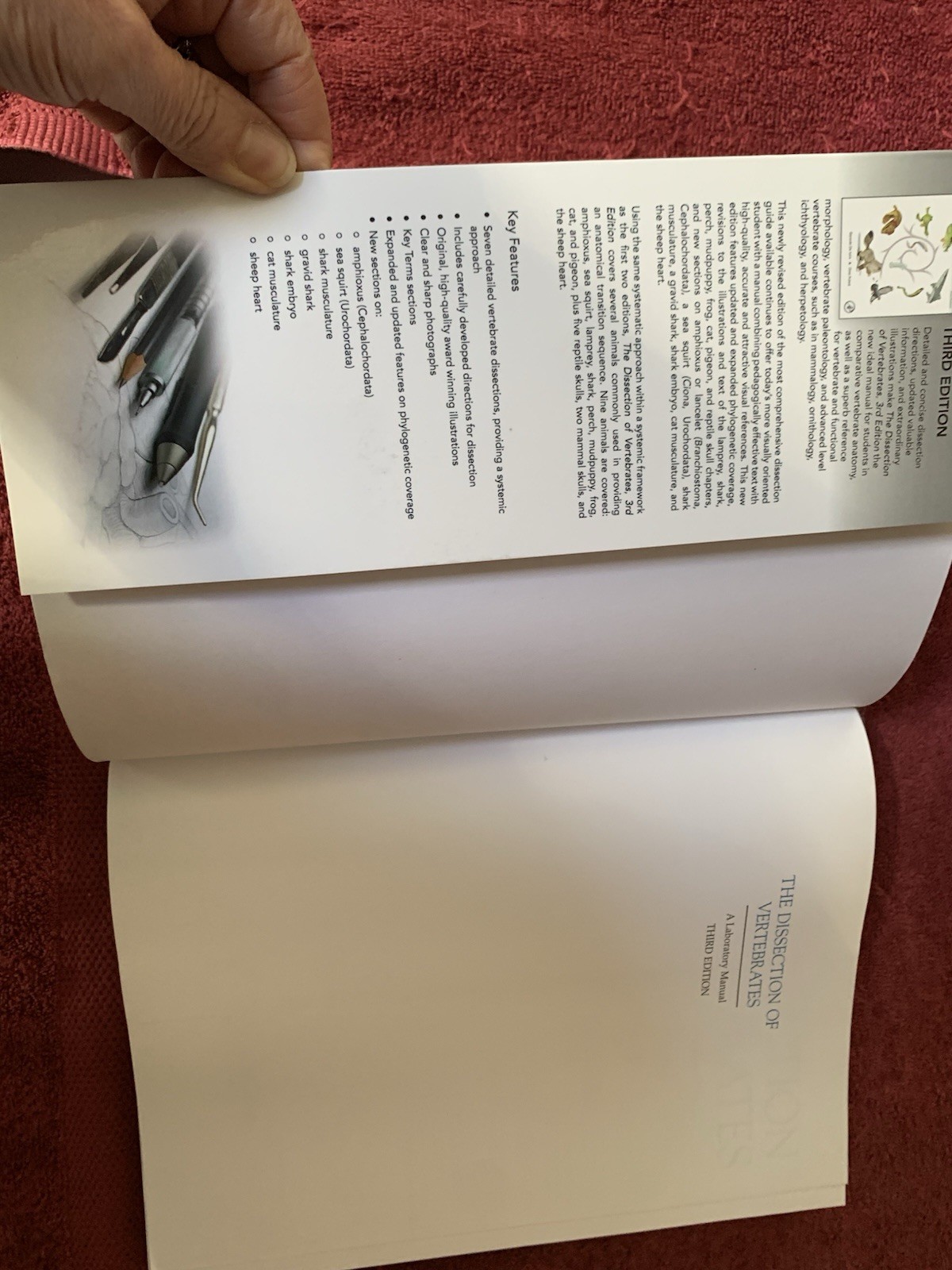 Dissection of Vertebrates by Dino Pulerà and Gerardo De Iuliis (2019, Trade…