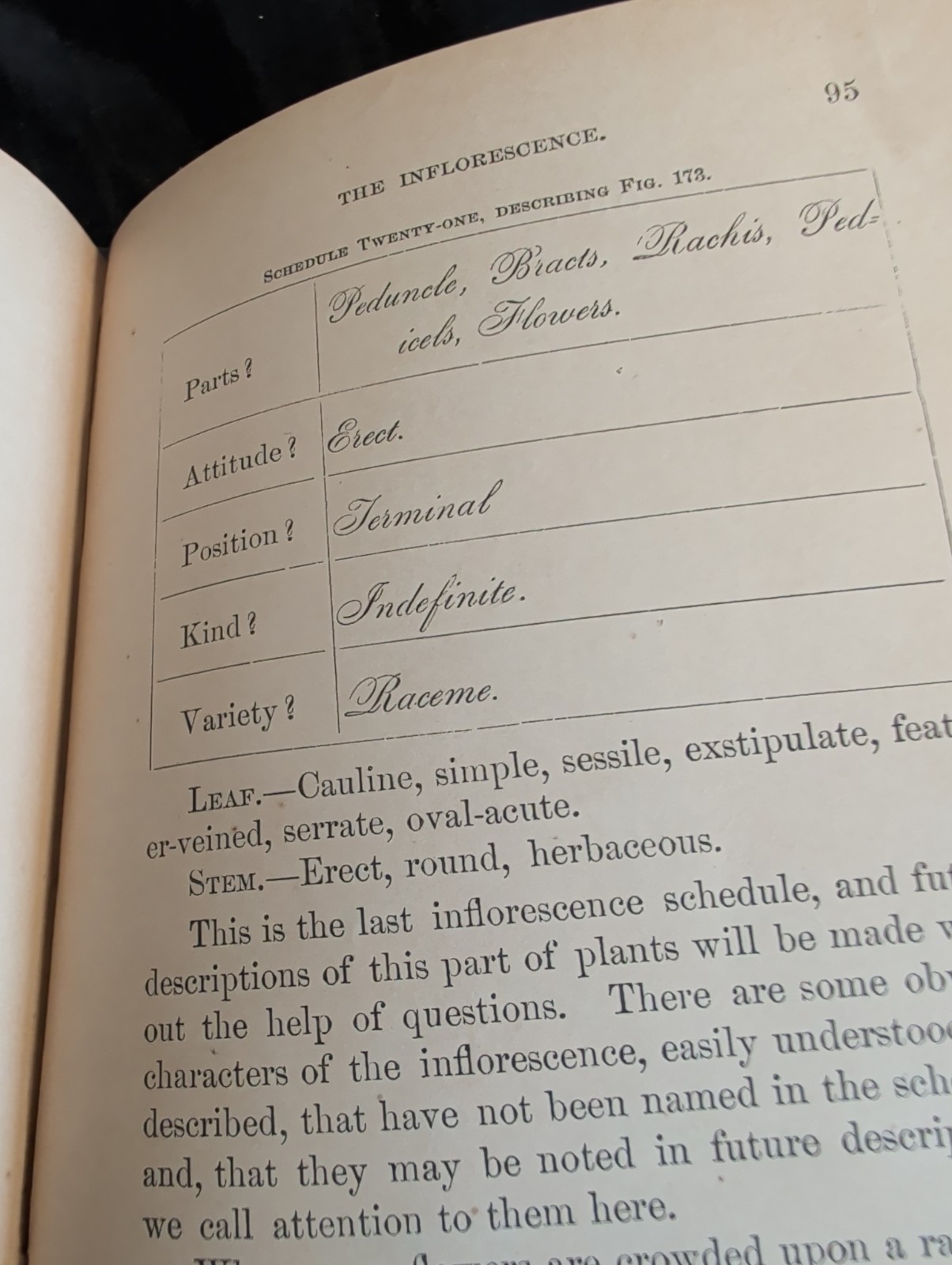 1872 First Book of Botany by Eliza A Youmans, Illustrated Hardcover 202 pages