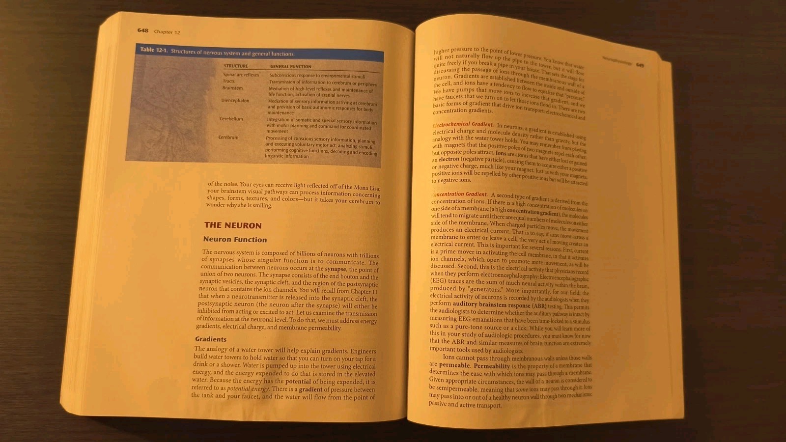 Anatomy & Physiology for Speech, Language, and Hearing, Sixth Edition – near new