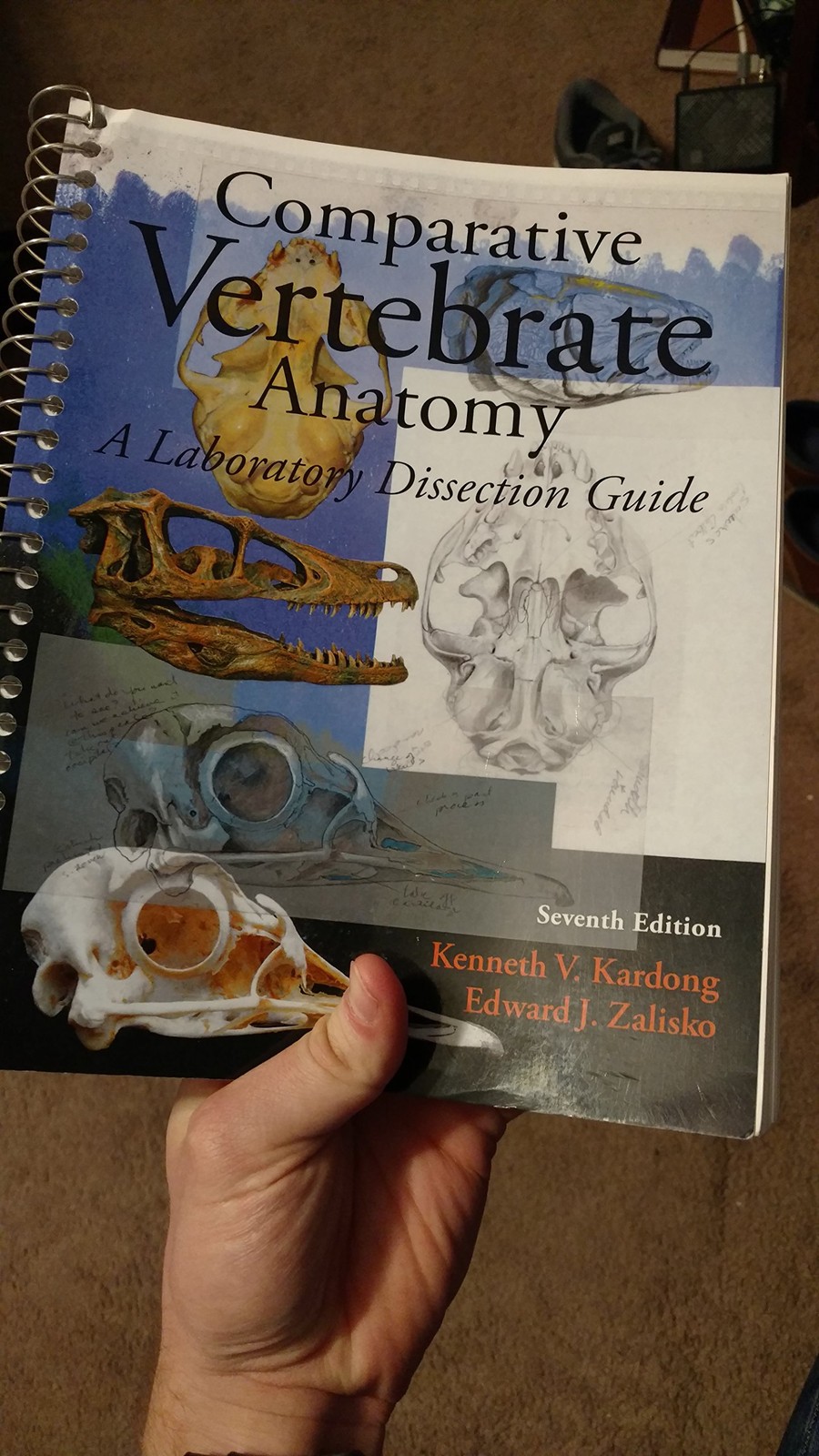 Comparative Vertebrate Anatomy: A Laboratory Dissection Guide – spiral_bound…