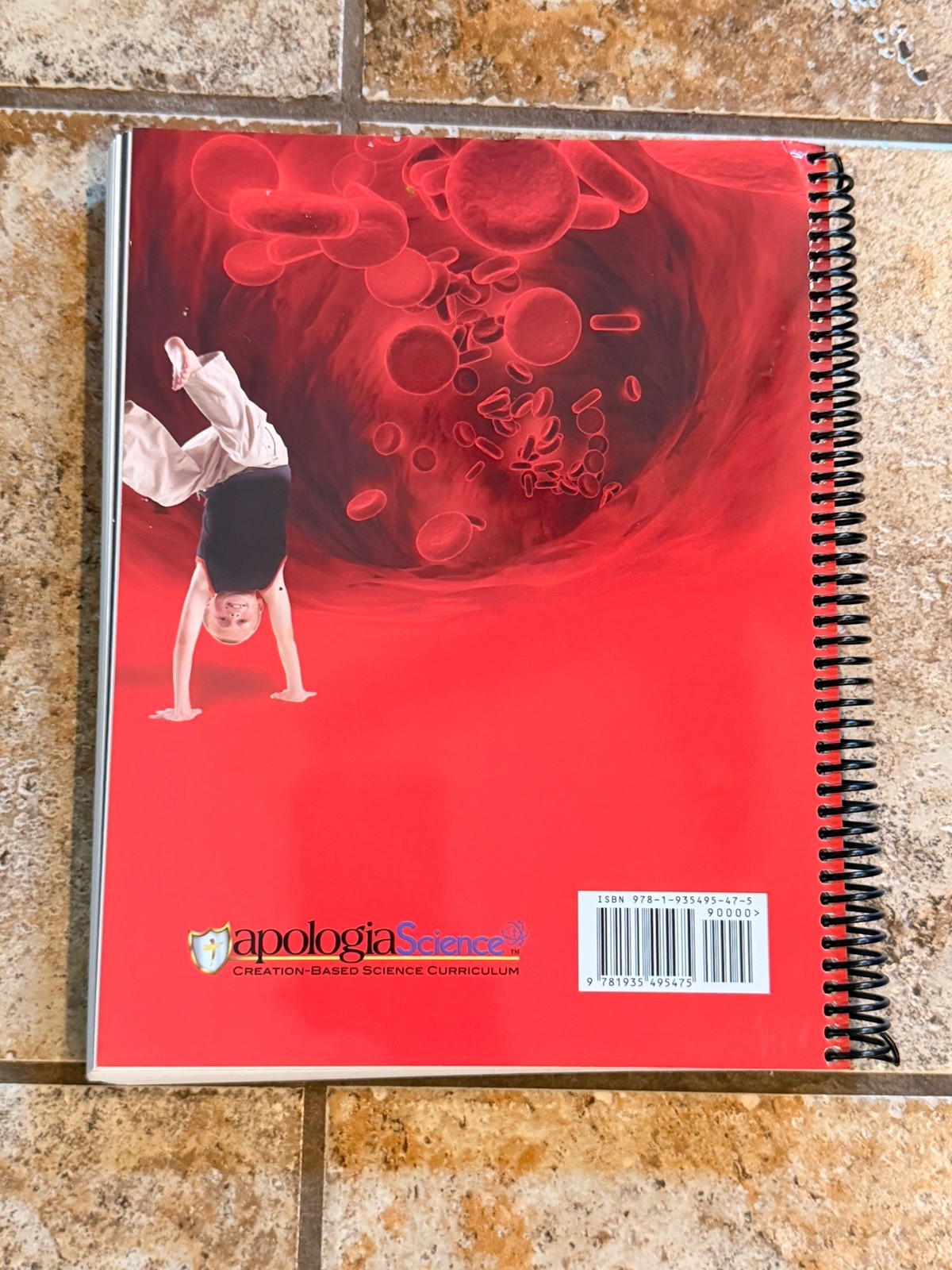 Apologia Junior Anatomy Notebooking Journal Exploring Creation Spiral Fulbright