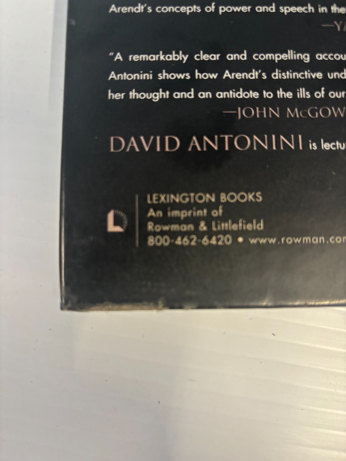 Public Space and Political Experience : An Arendtian Interpretation, Hardcover