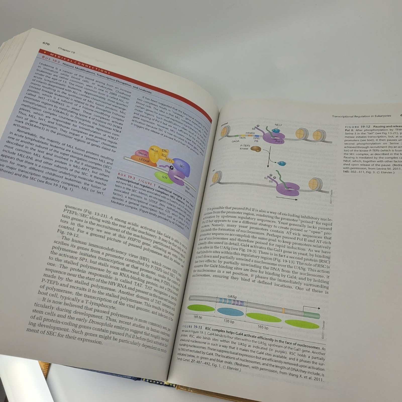 Molecular Biology of the Gene Seventh Edition Textbook 2014 James Watson Pearson