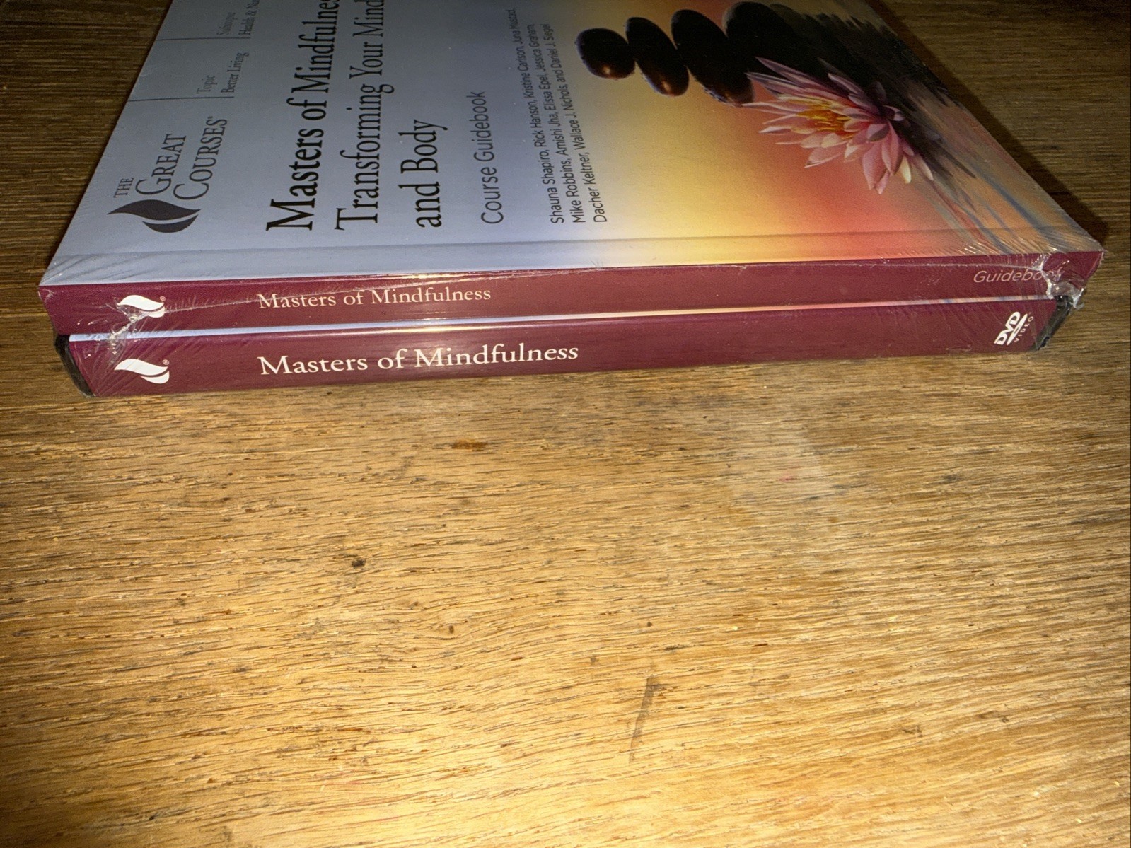 Masters of Mindfulness (The Great Courses) Guidedbook + DVD New Sealed