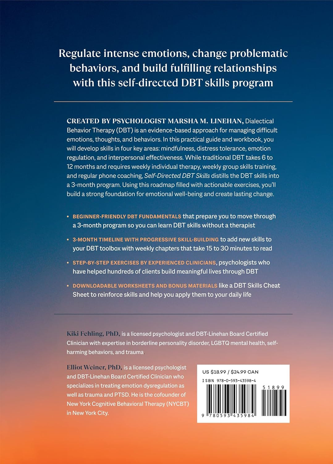 Self-Directed DBT Skills: a 3-Month DBT Workbook to Regulate Intense Emotions an