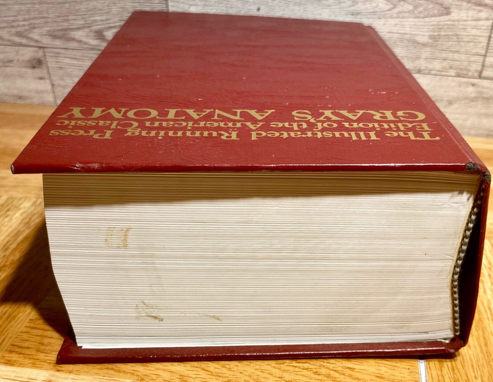 Gray’s Anatomy: Anatomy, Descriptive and Surgical 1901 Edition, Running Press