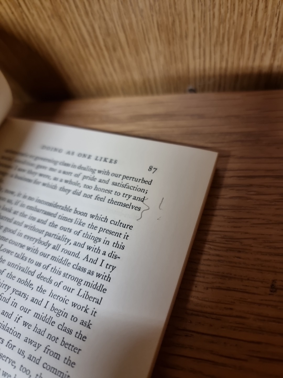 Culture And Anarchy, Matthew Arnold Paperback (Q5)