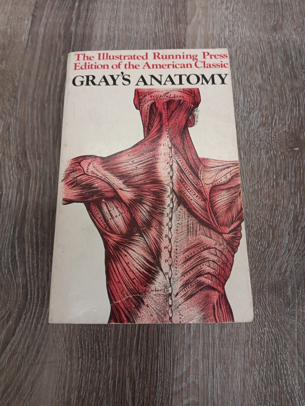Gray’s Anatomy The ILLUSTRATED Running Press Edition Of The American Classic ’74