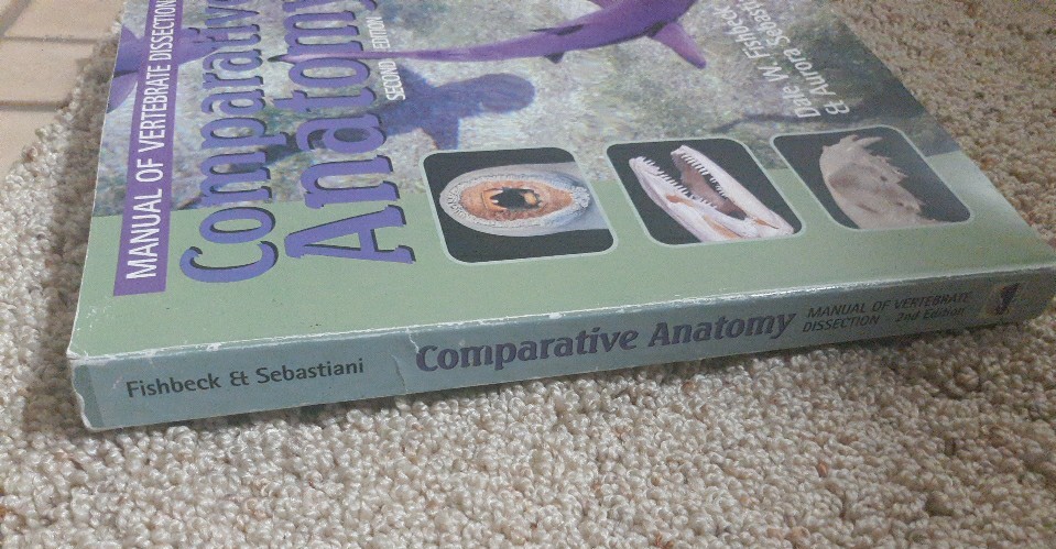 Comparative Anatomy : Manual of Vertebrate Dissection by Dale W. Fishbeck and…