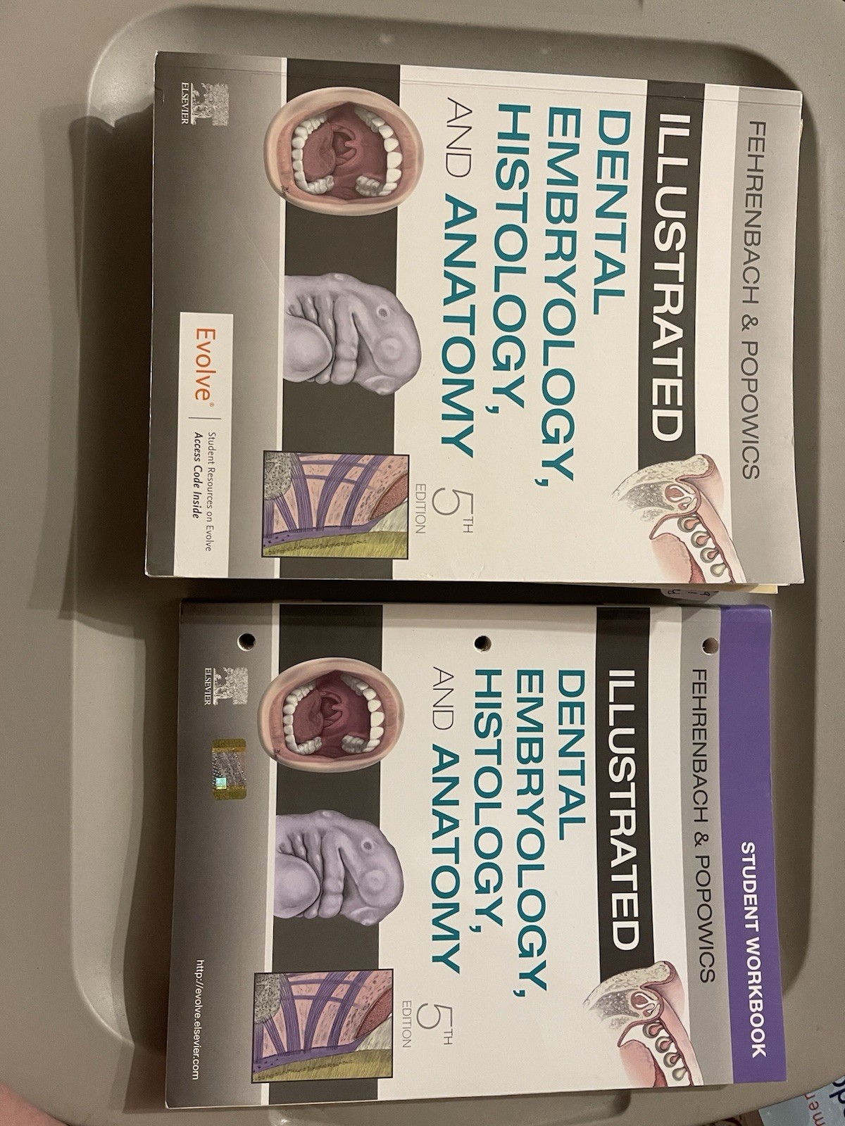 Illustrated Dental Embryology, Histology, and Anatomy by Margaret J. Fehrenbach