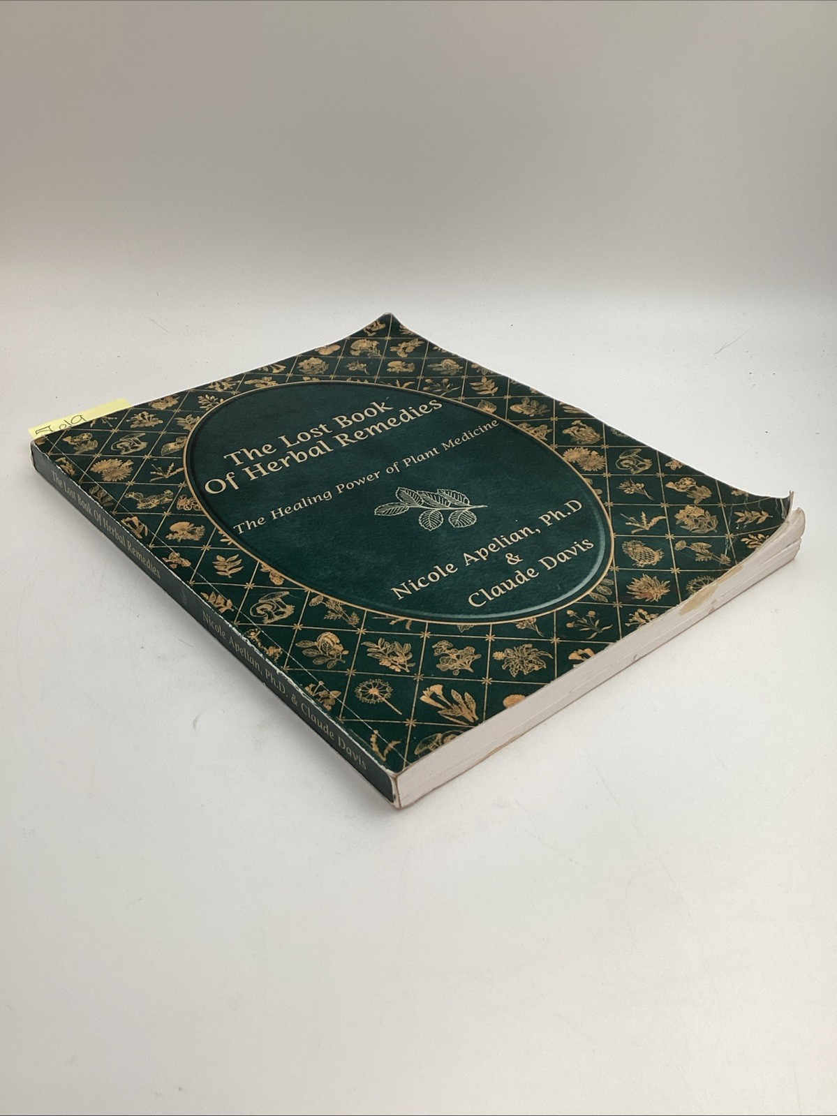 The Lost Book Of Herbal Remedies The Healing Power Of Plant Medicine Apelian
