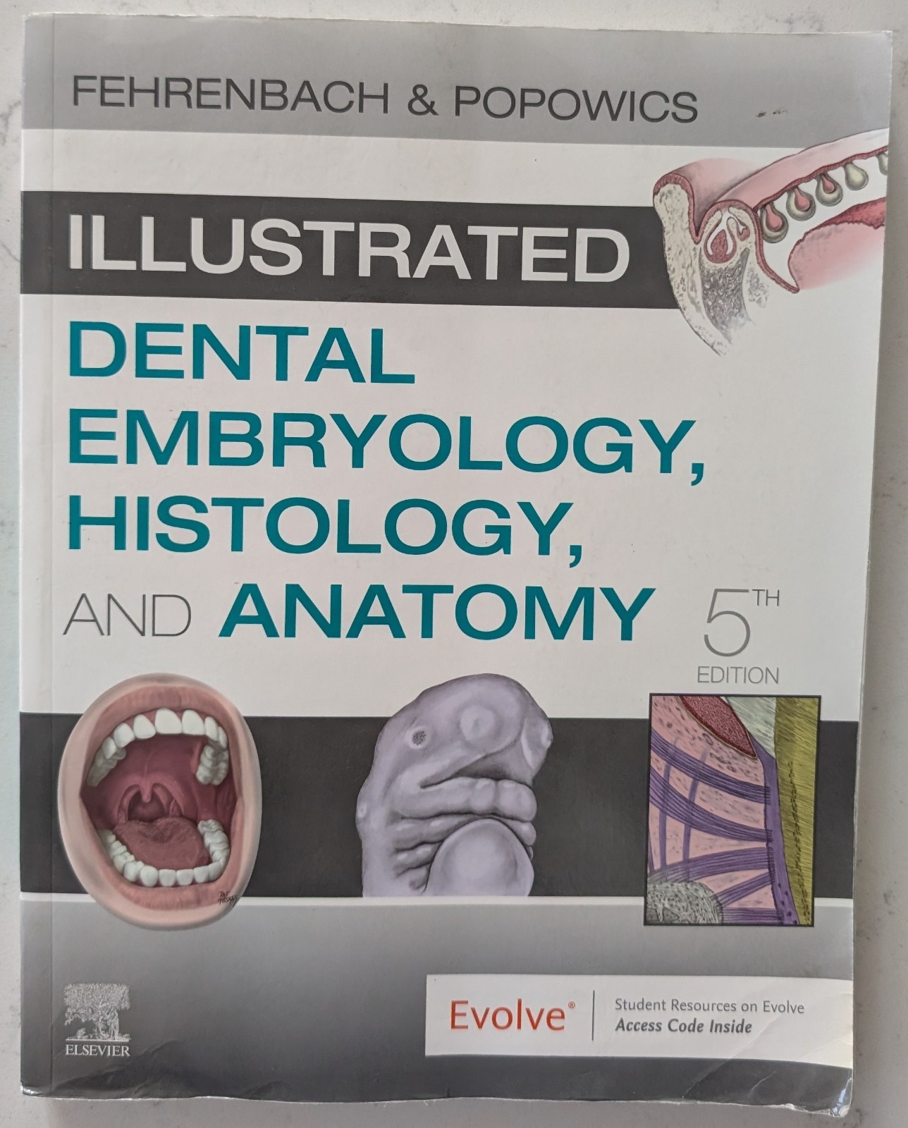 Illustrated Dental Embryology, Histology, and Anatomy by Margaret J. Fehrenbach