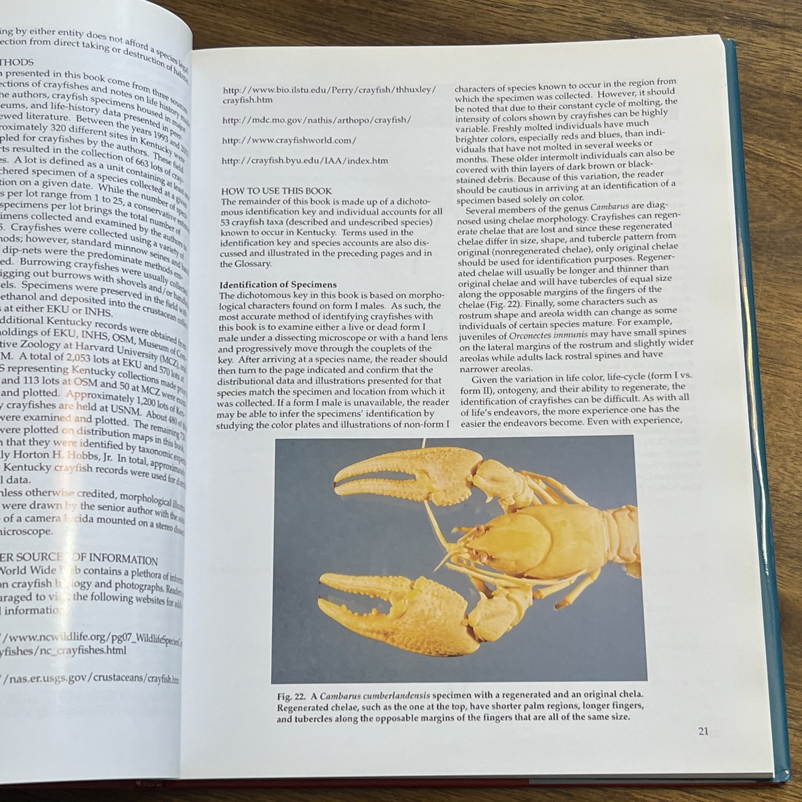 Illinois Natural History Survey Special Publication Ser.: Crayfishes of Kentucky