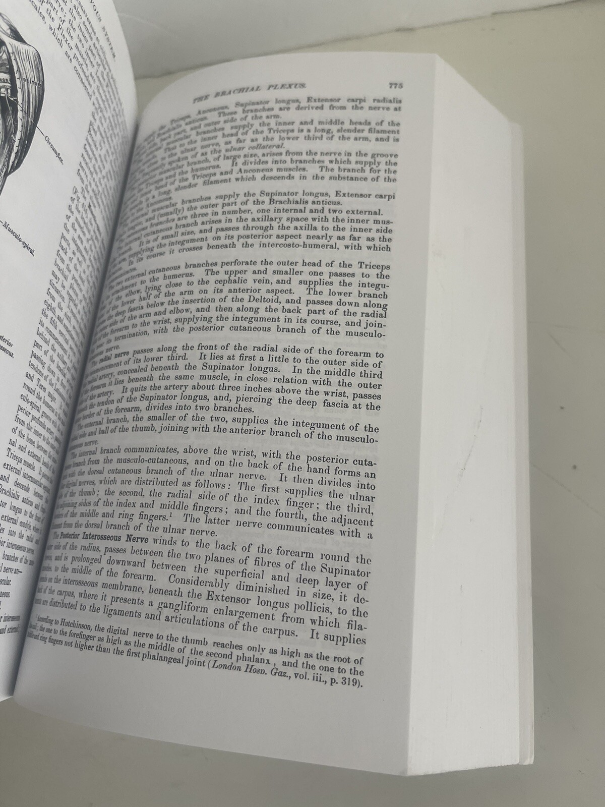 Gray’s Anatomy : The Unabridged Running Press Edition of the American Classic by