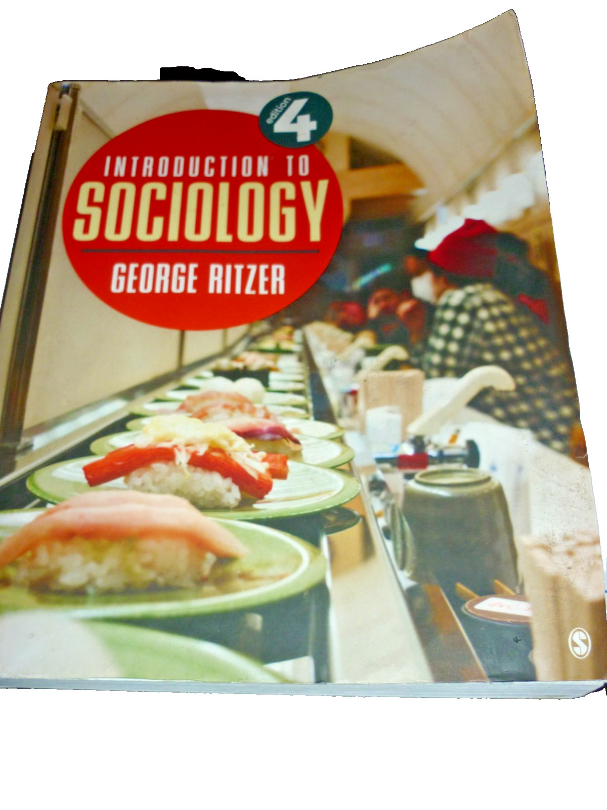 Introduction to Sociology – Paperback By Ritzer, George – VERY GOOD