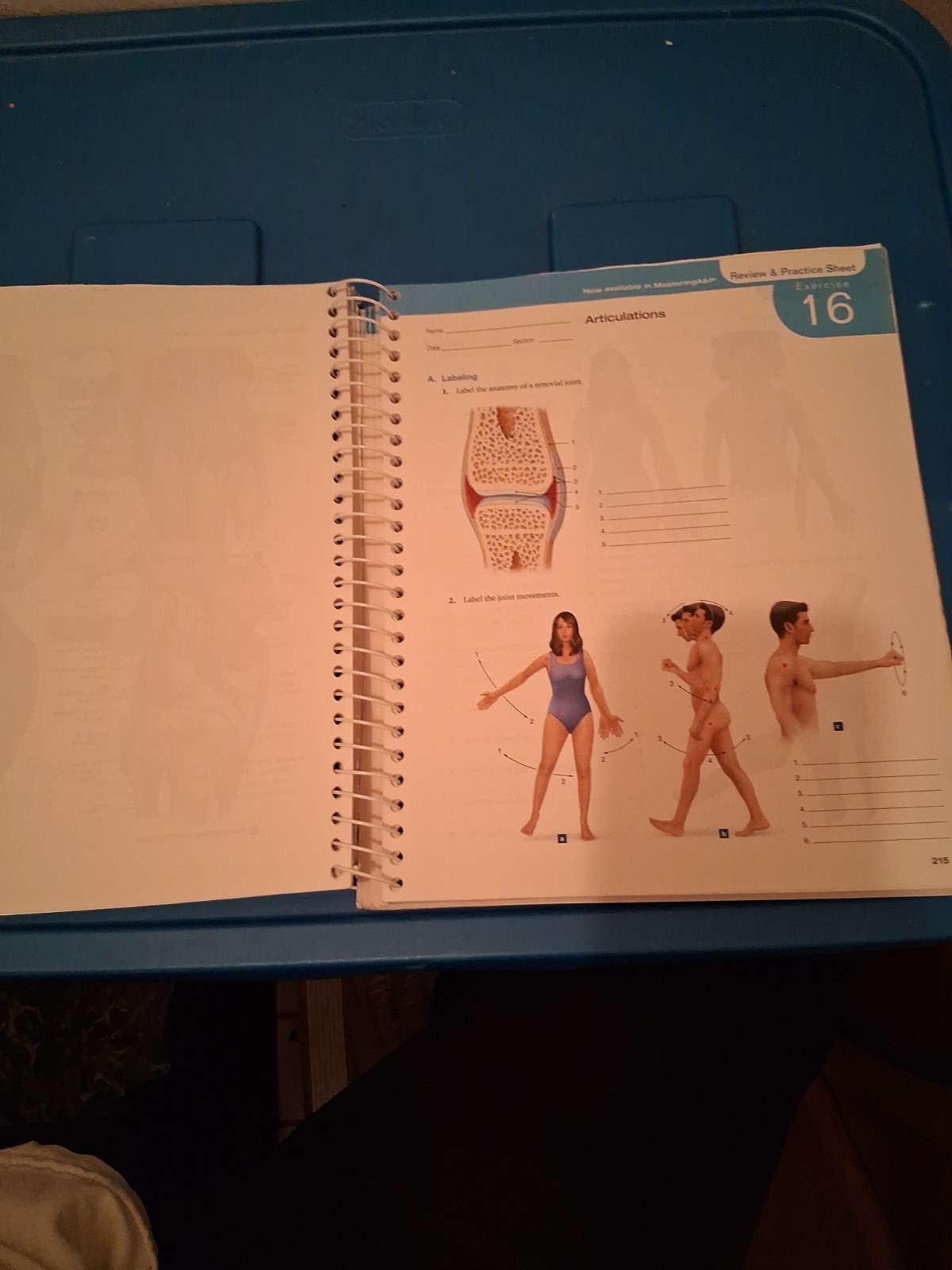 Laboratory Manual for Anatomy and Physiology Featuring Martini Art, Main Version