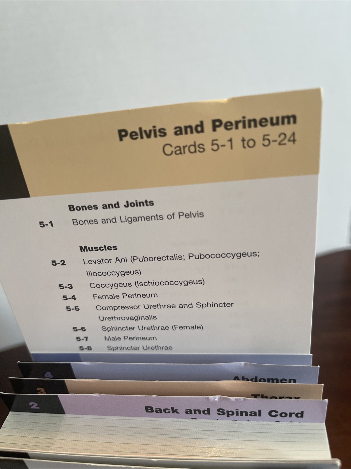 Netter Basic Science Ser.: Netter’s Anatomy Flash Cards : With Online Student…