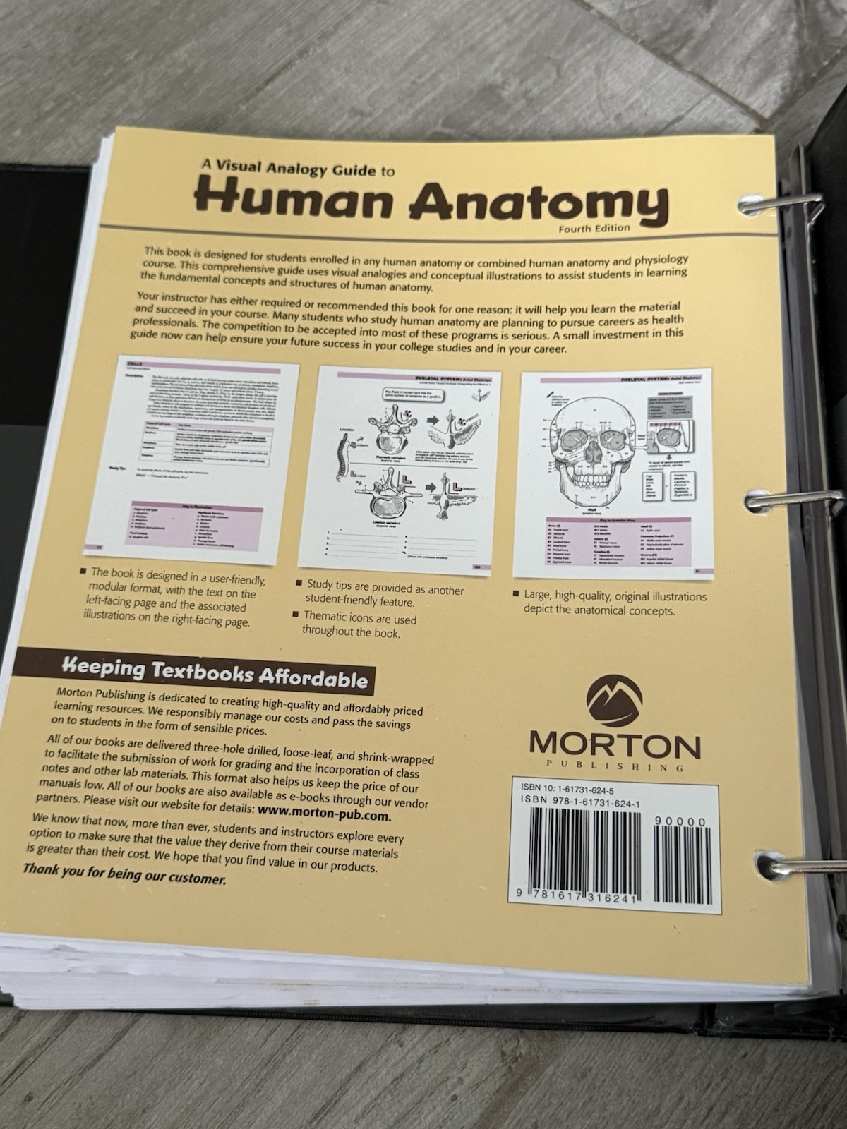 📚 Visual Analogy Guide to Human Anatomy Fourth Edition Paul A. Krieger